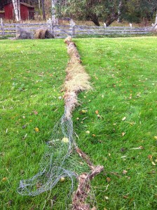 Tolv meter armerad gräsmatta, i vilket källsorteringsfack lägger man den?