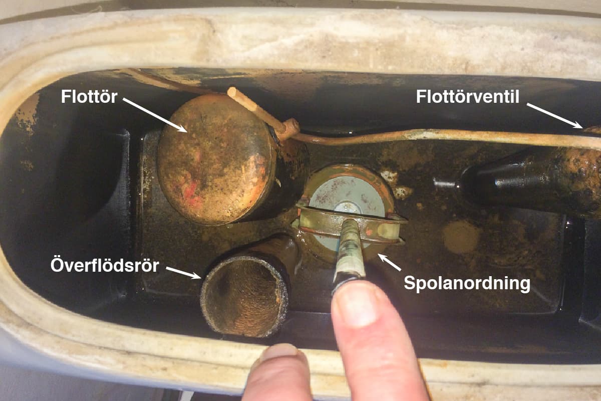 Det kan se lite skitigt ut i cisternen – men det är ren skit. Det här vattnet går till och med att dricka i nödfall och smutsen består av järn och kalkavlagringar – inget man blir sjuk av. Av alla utrymmen på en toalettstol så är det här det som har minst bakterier.